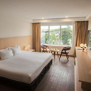 Habitación con Cama King